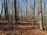 18.19 Ac Spence Ln - Photo 28