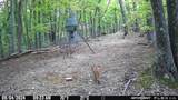 18.19 Ac Spence Ln - Photo 29