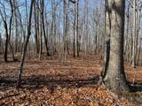 18.19 Ac Spence Ln - Photo 3