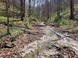 18.19 Ac Spence Ln - Photo 4