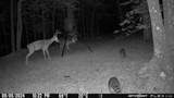 18.19 Ac Spence Ln - Photo 6