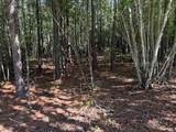 Lot 60 Topside Dr - Photo 2