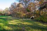 1090 Old Sunbright Road - Photo 10