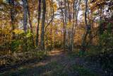 1090 Old Sunbright Road - Photo 11
