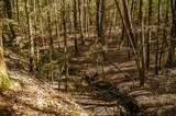 1090 Old Sunbright Road - Photo 12