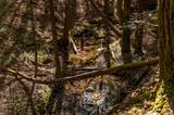 1090 Old Sunbright Road - Photo 13