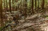 1090 Old Sunbright Road - Photo 14