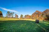 1090 Old Sunbright Road - Photo 16
