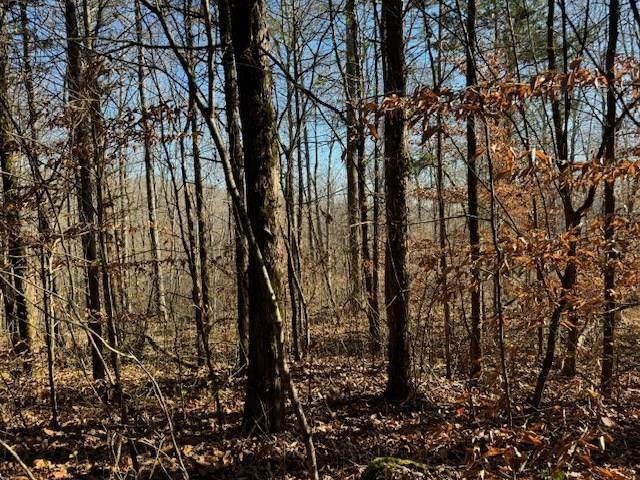 231.8 AC New Hope Rd - Photo 1