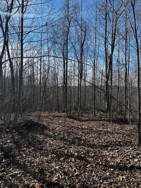 0 Upper Crab Rd - Photo 1