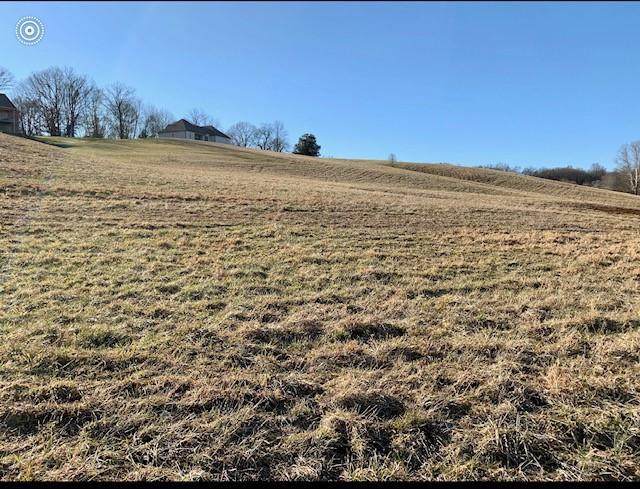 705 Blue Water Dr_Lot 86 - Photo 1