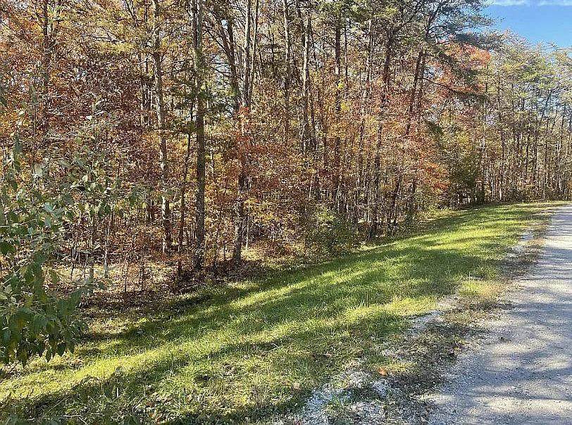 Lot 11 Camp Creek Rd. - Photo 1