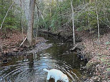 https://bt-photos.global.ssl.fastly.net/cumberland/orig_boomver_1_231648-2.jpg