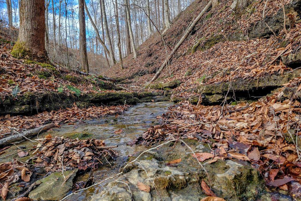 6.24 AC Hutchins Bend Rd - Photo 1