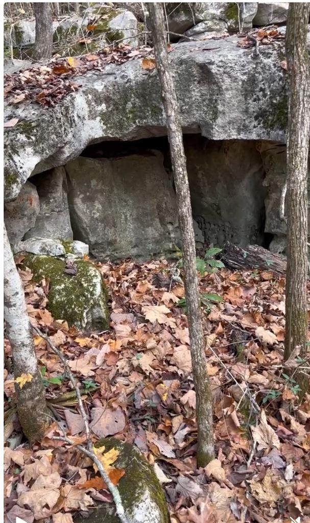 1644 Walker Cove Rd - Photo 1