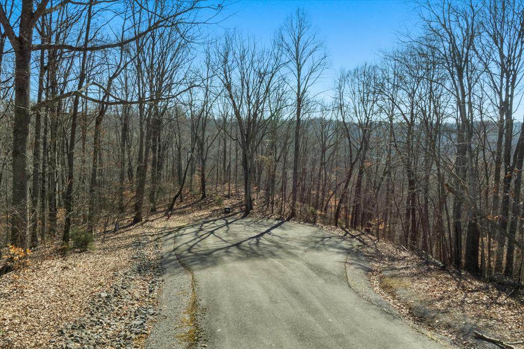 259 Randy Ct - Photo 1