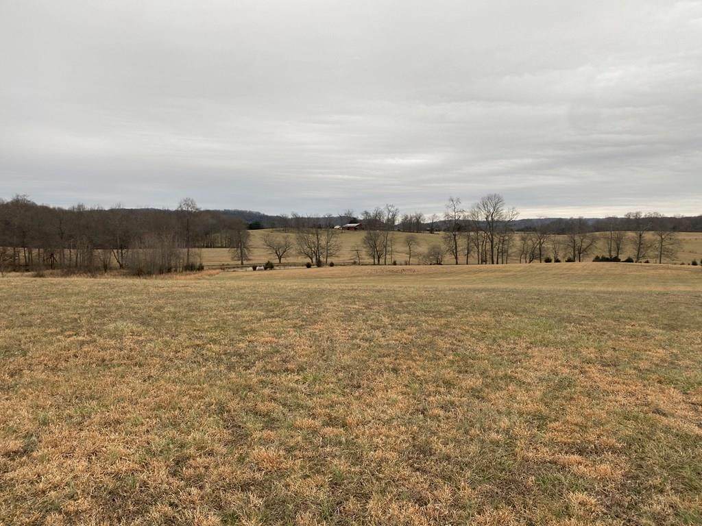 Lot 3 Old Kentucky Road - Photo 1