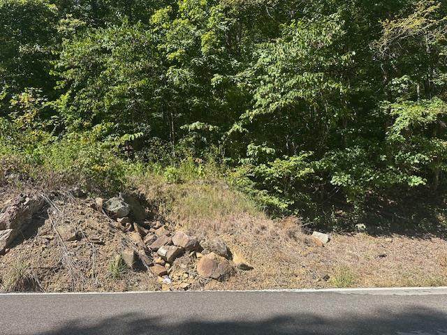 LOT 364A 6360 Wilder Hwy - Photo 1