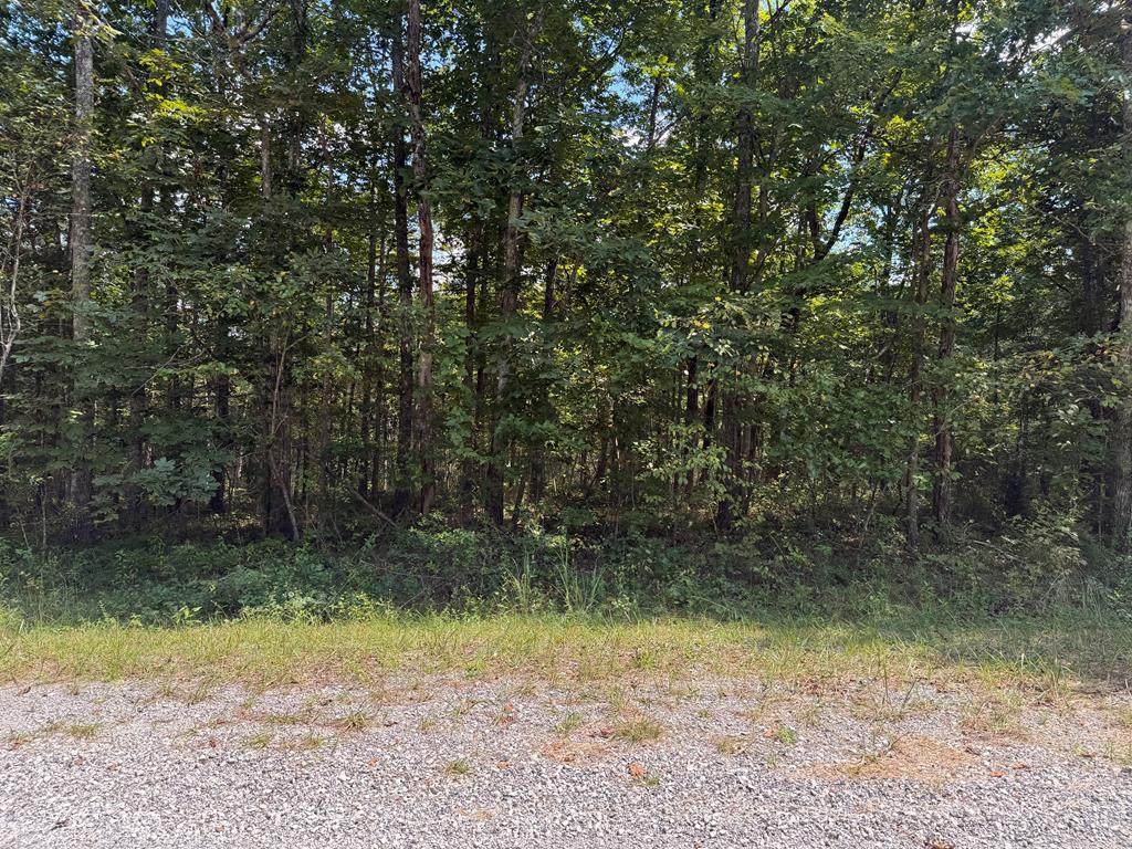 4021 Tonto Dr - Photo 1