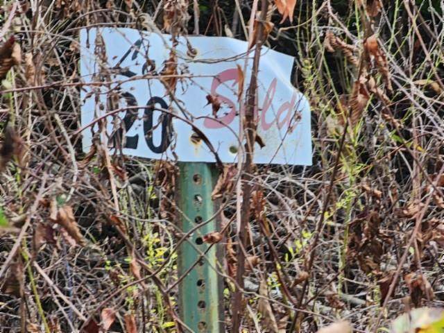 Lot 20 Apache Rd - Photo 1
