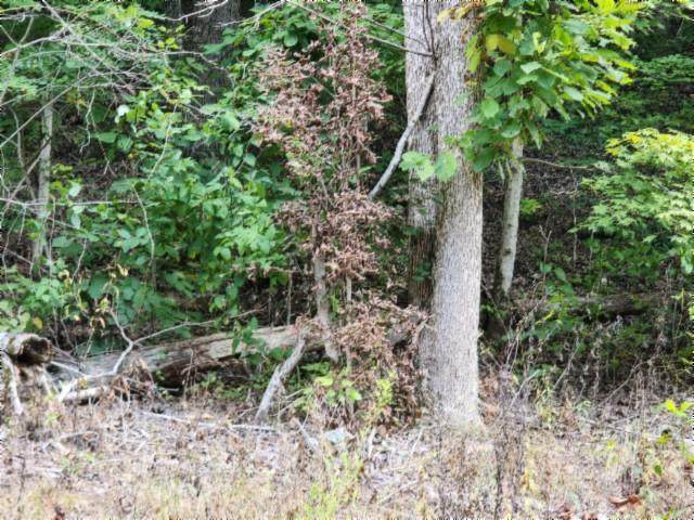 https://bt-photos.global.ssl.fastly.net/cumberland/orig_boomver_1_239277-2.jpg