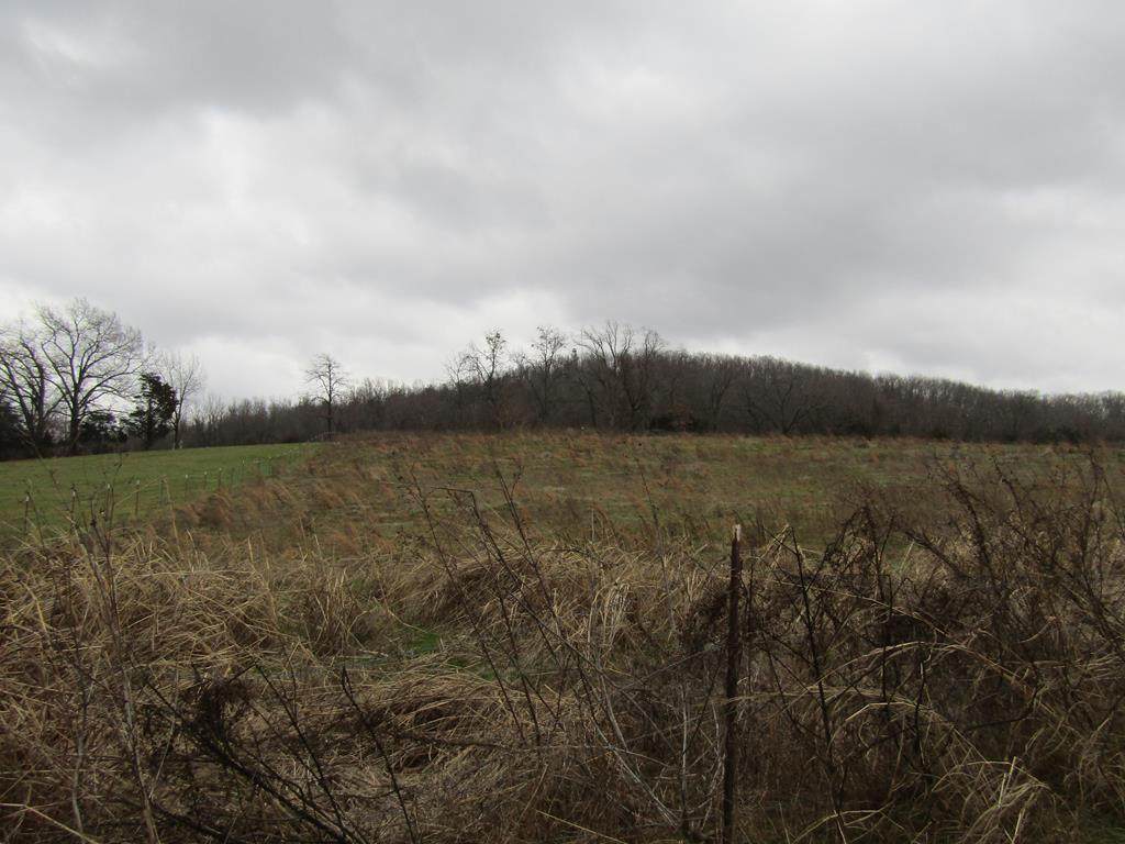 3.94ac Anderson Rd - Photo 1