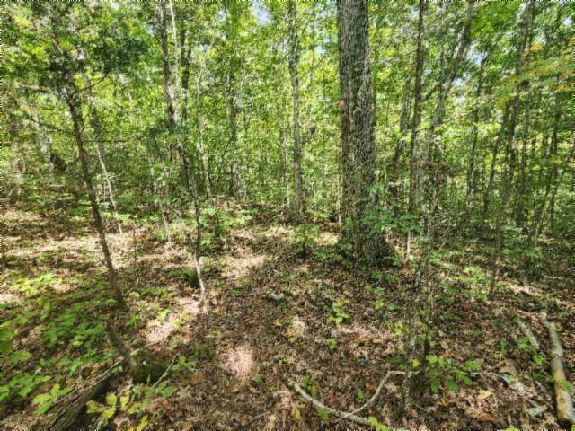 16.22ac Glenobey Rd - Photo 1