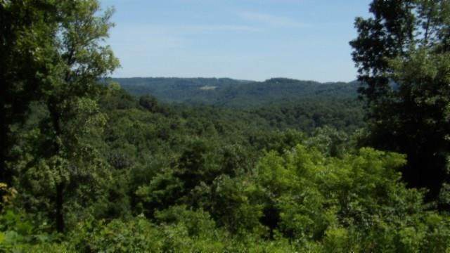 Lot 7E Rock Fish Lane - Photo 1