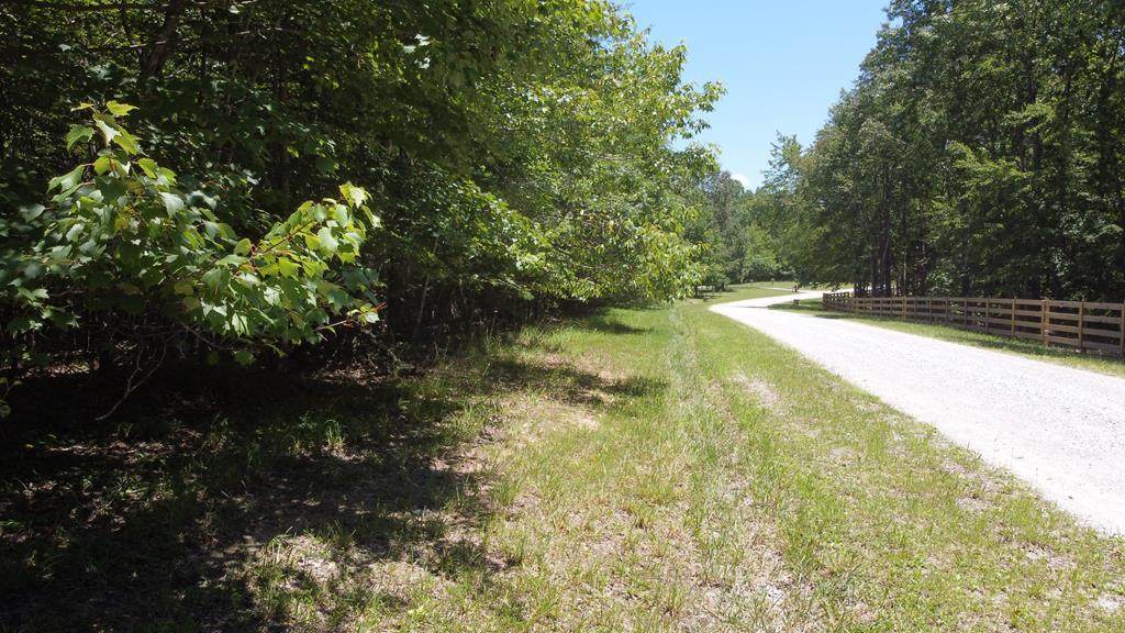Lot 72 Camp Creek Rd - Photo 1