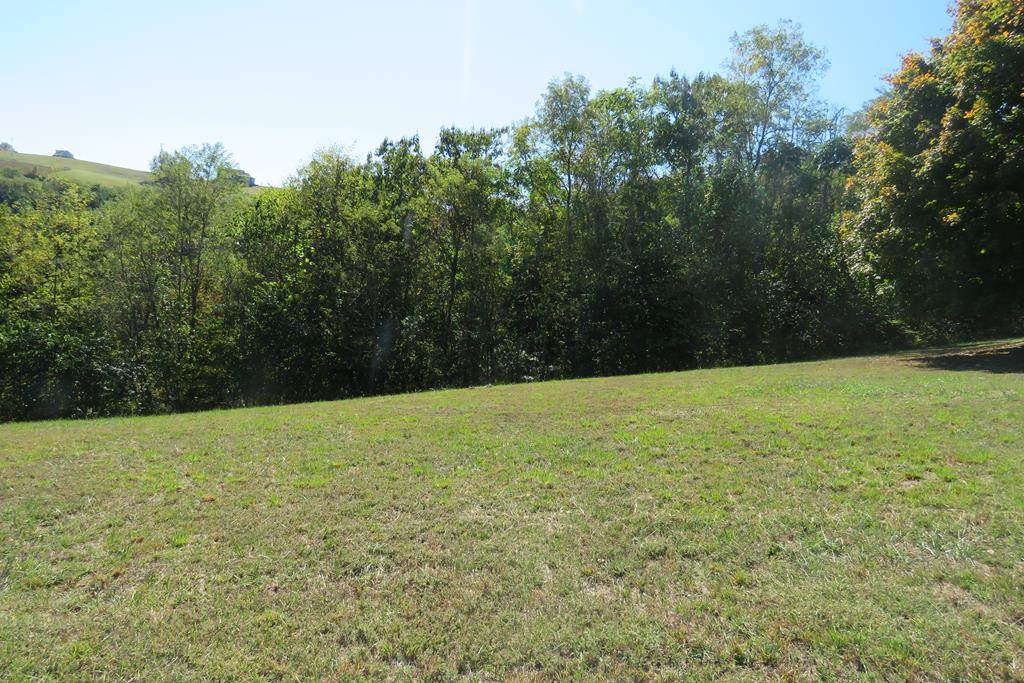 1C & 2C Goose Road - Photo 1