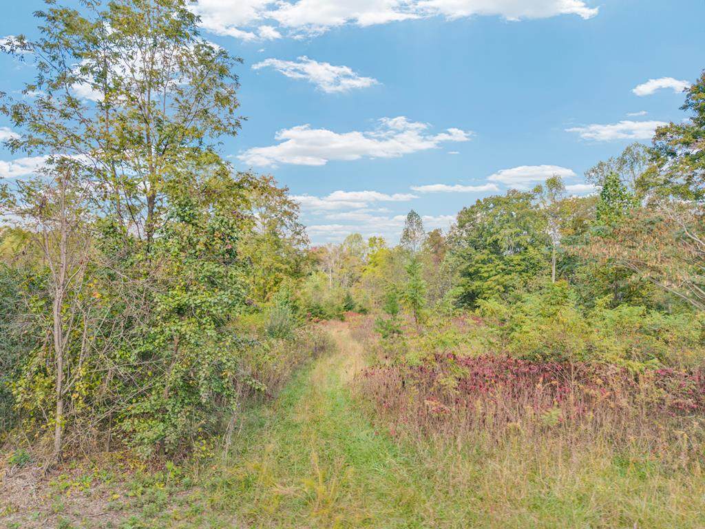 202 Sells Cemetery Rd - Photo 1