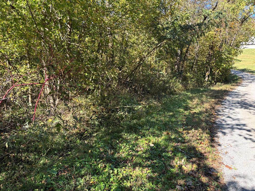 5 AC Dynamite Ln - Photo 1