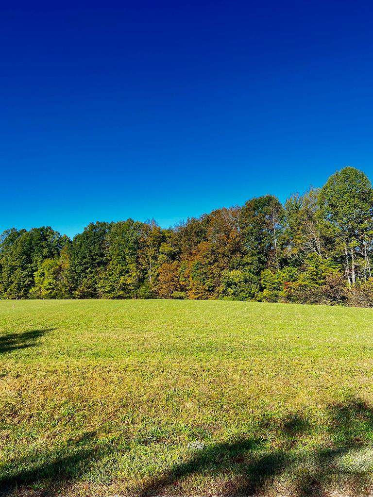 Lot 2 Goff Ridge Rd. - Photo 1