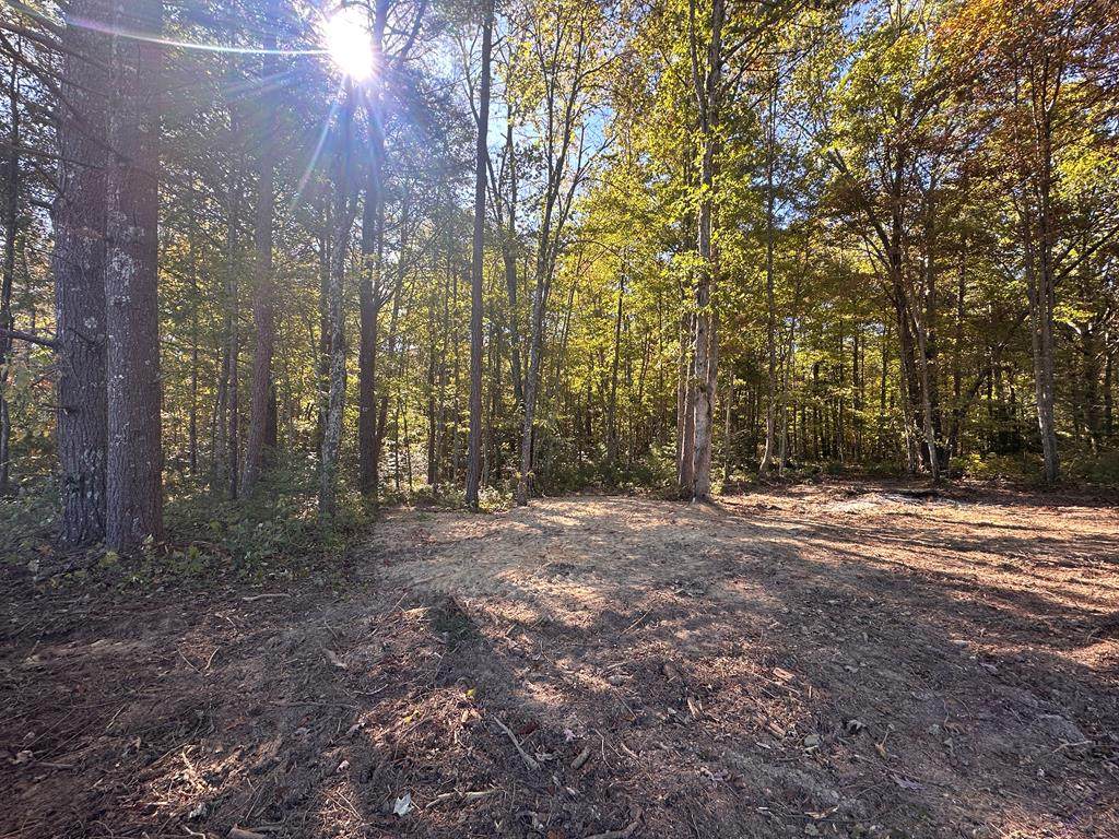 18.6 Acres Cave Branch Rd. - Photo 1