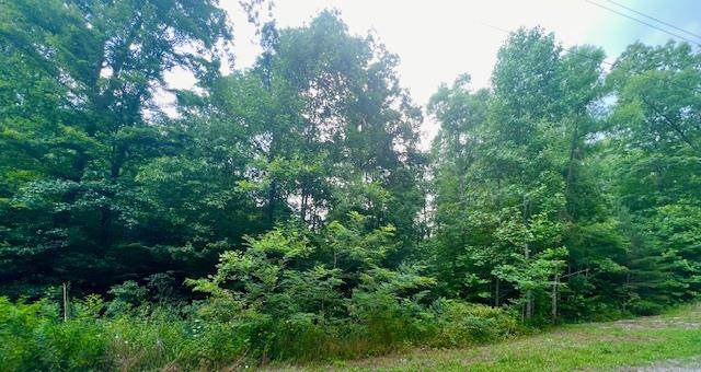 3482 Chapel Hill Rd - Photo 1