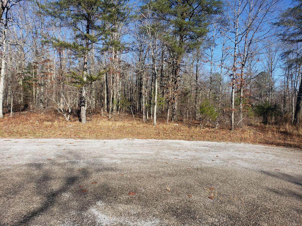 Lot 44 Hemlock Lane - Photo 1