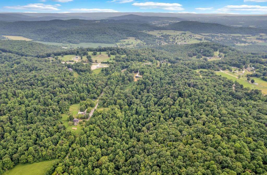 Tract 1 Wildcat Cove Road - Photo 1