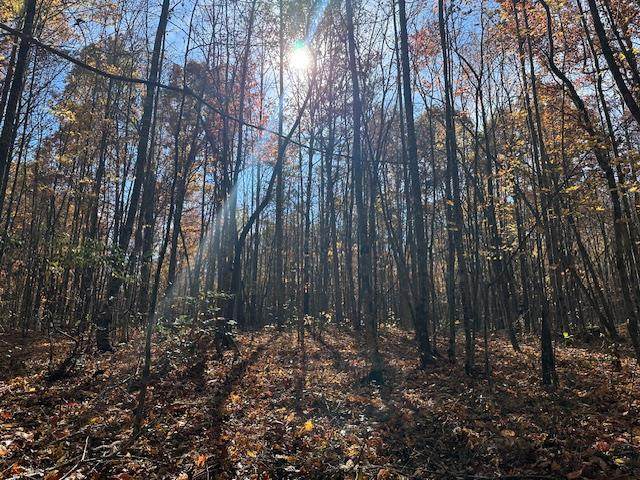Lot 321 Hilltop Lane - Photo 1