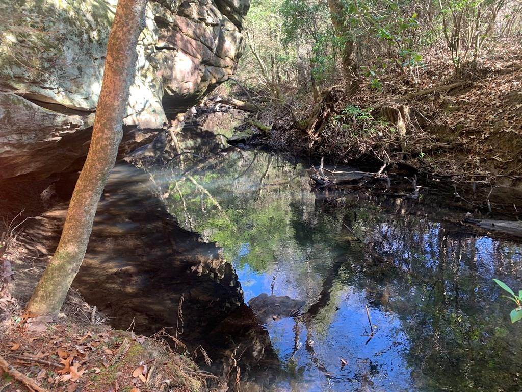 Tract 3 Lone Wolf Trail - Photo 1