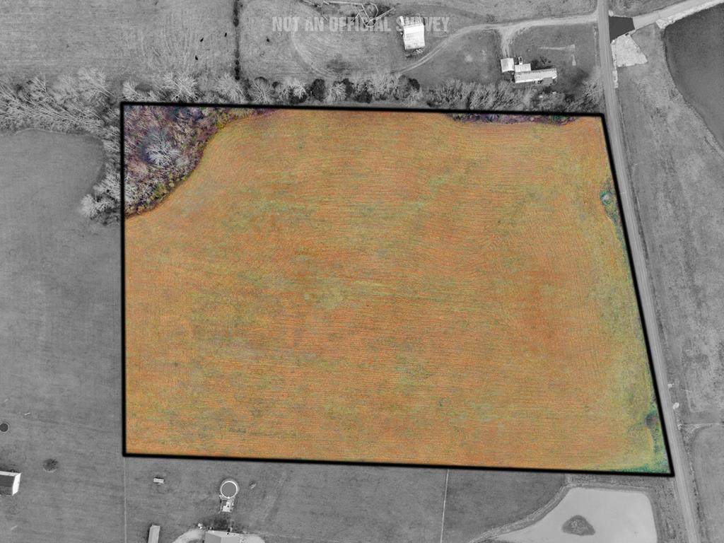 11.38ac Will Thompson Road - Photo 1