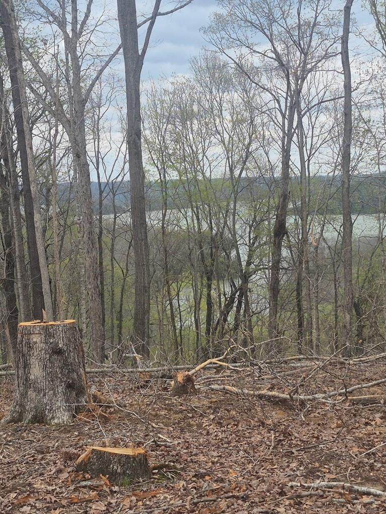 21 AC St John's Cemetery Rd - Photo 1