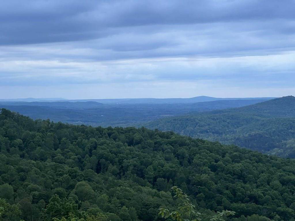 100 Westridge Trail - Photo 1