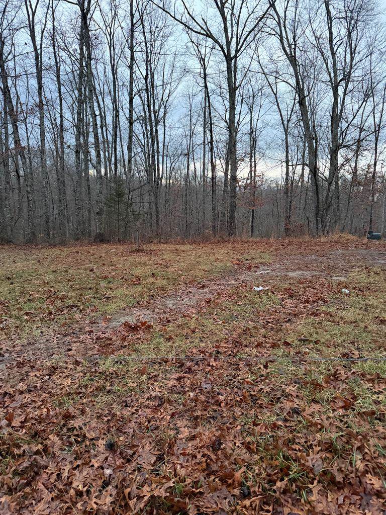 00 Viola Dr. - Photo 1