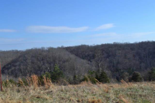 Lot 13 Lord Botetourt Court - Photo 1