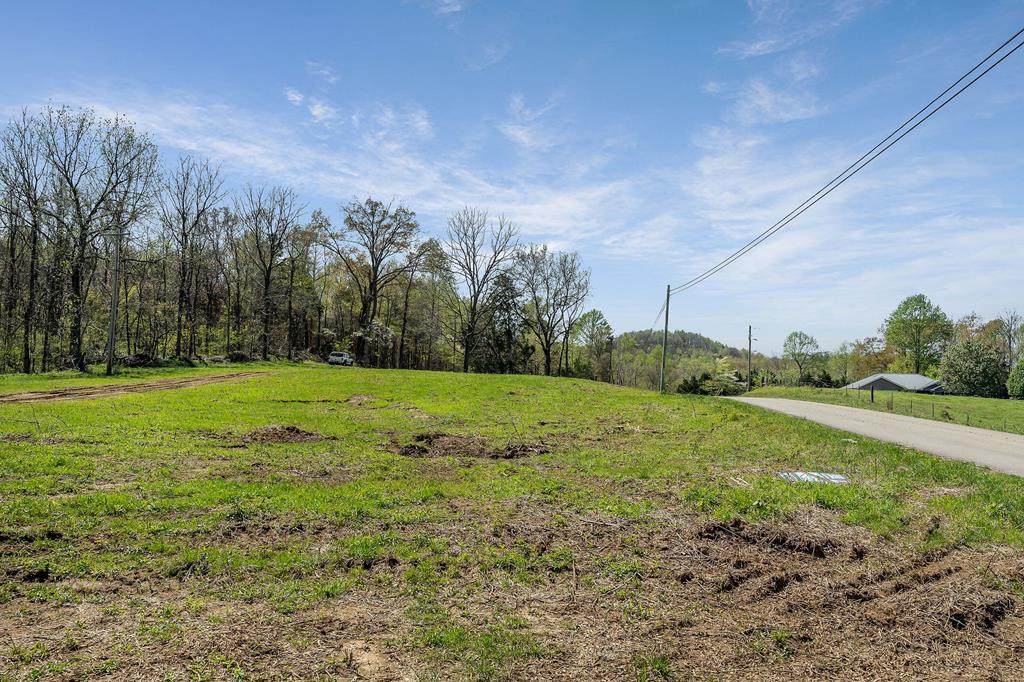 00 Big Springs Farm - Lot 1 - Photo 1
