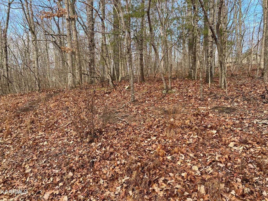 116 Overlook Cove - Photo 1