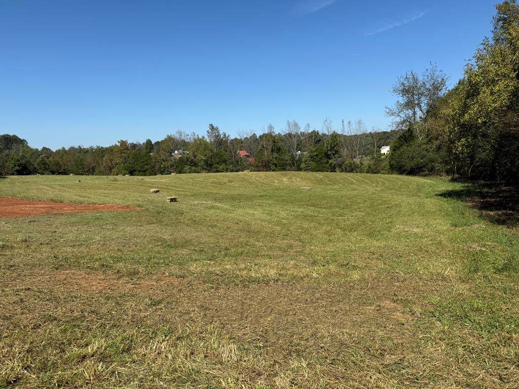 1.8 Ac. Cane Creek Cummingsville Road - Photo 1