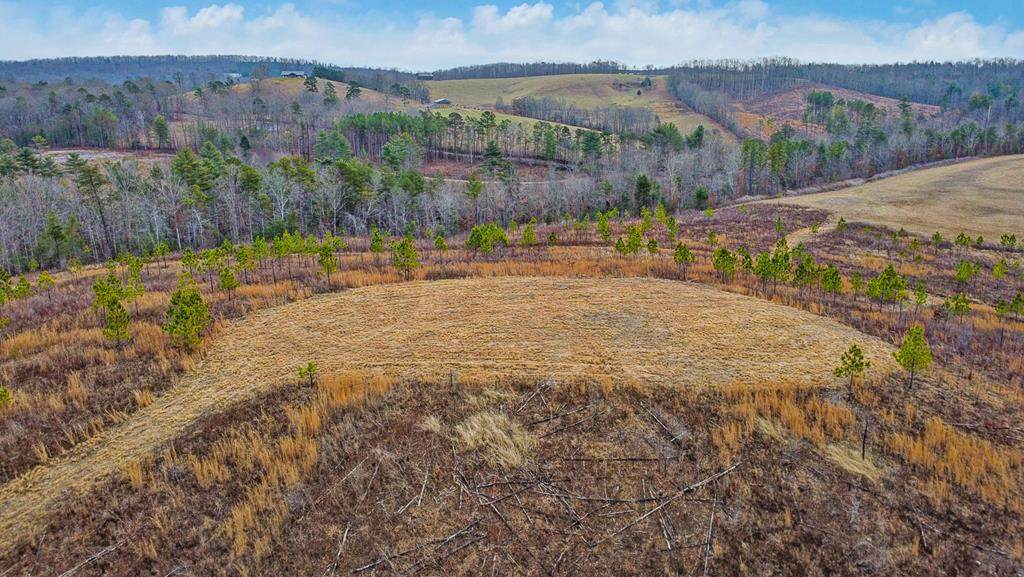 0 Possum Trot Road - Tract 2 - Photo 1