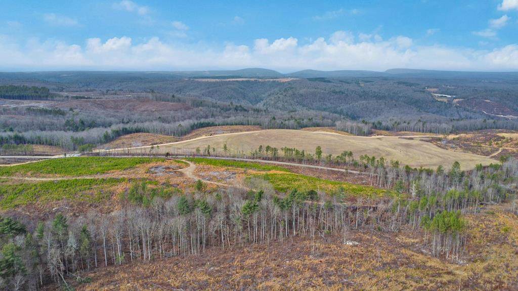 0 Possum Trot Road - Tract 5 - Photo 1