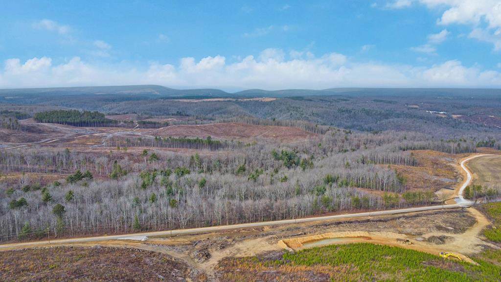 0 Possum Trot Road - Tract 6 - Photo 1
